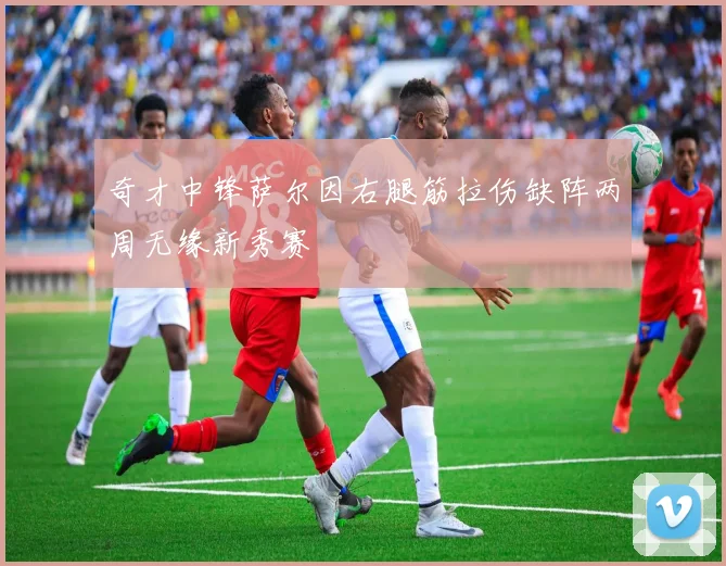 奇才中锋萨尔因右腿筋拉伤缺阵两周无缘新秀赛