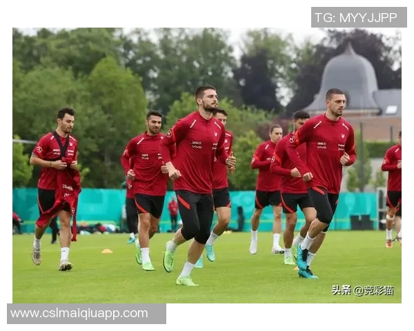 欧洲区形势分析匈牙利等26队已出局北马其顿威尔士争夺欧国联名额