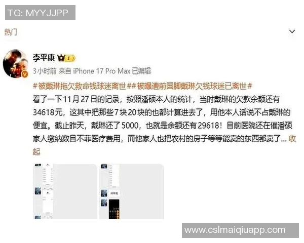 李平康发起行动征集戴琳欠款债权人信息共同维权报警